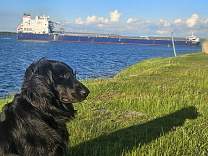 20240608_9algomabear.jpg