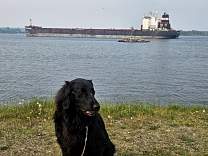 20250607_3algoma_discovery_uptotbay.jpg