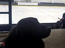 mi20250816_2lc4sckzzovalleyrink.jpg