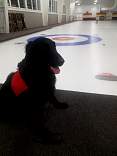 wi20200203wausaucurlingclub.jpg