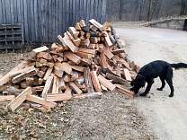 20180326_woodpile.jpg