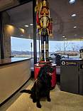 20240103_160424.jpg