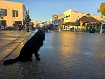 20240926_075513.jpg
