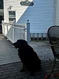 20250711_172241.jpg