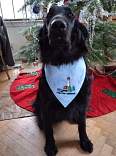 20251225christmas.jpg