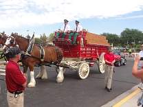 20170325_surpriseclydesdales3.jpg