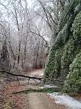 20230223icestorm.jpg