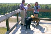 20020719topinabeerestareaoverlook.jpg