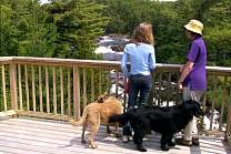 20040629chutesprovincialpark.jpg