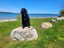 20230524_1youngstatepark.jpg