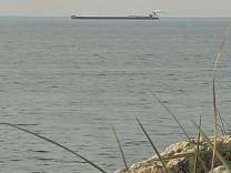 20230525_7cp.jpg