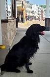 20230605_132035.jpg