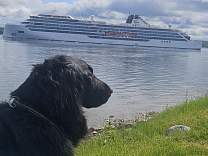 20240606_100502.jpg