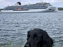 20240609_104640.jpg