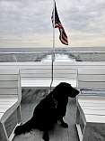 20231019_174355.jpg
