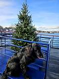 20231201_133053.jpg