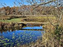 20231105_afternoon.jpg