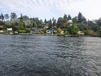 20241005_135826.jpg