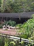 20251013_123618.jpg