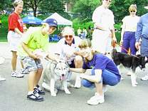 pict0042.jpg