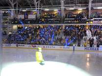 02bluelightsticks.jpg