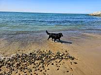 20230913_154456.jpg