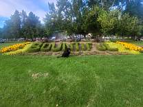 20230811_190951.jpg