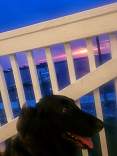 20230814_7sugarcreekdinner.jpg