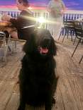 20230814_8sugarcreekdinner.jpg