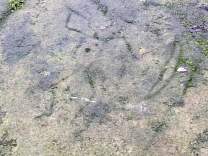 20220928_142613sanilacpetroglyphs.jpg